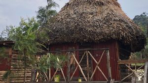 Organic self sustainable paradise in the kigezi mountains