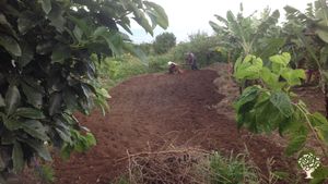 We are an on grid small scale farm that serves the local community.