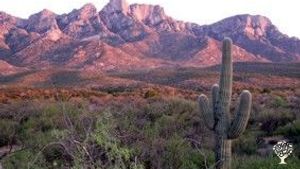 +20 year-old 16 acre community in a desert oasis