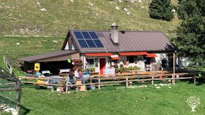 Allevamento bovini, Azienda agricola