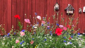 Classic Swedish farm which has been in  the family for generations.