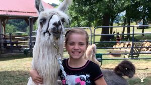 This is one of our past Art at the Llama Farm campers loving on one of our llamas.