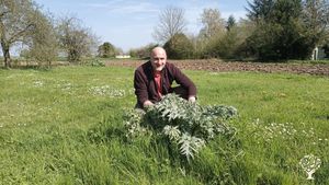 Maraîchage bio intensif sur petite surface en coeur de village