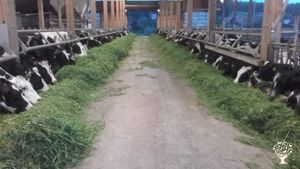 Family farm