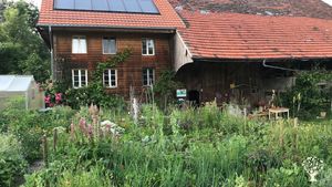 Permakulturhof im Aufbau