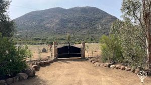 Nuova azienda agricola a 300 mt dal mare di Costa rei in Sardegna