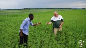 seeds of change organic farm in Bafoussam.local species for commercial purpose 