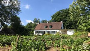 Bioland Gemüseselbsternte / Vegetable Self Harvesting