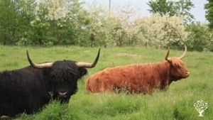 Mixed Farm