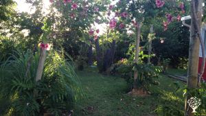 Ferme apicole  et  gîte Bienvenue à la ferme