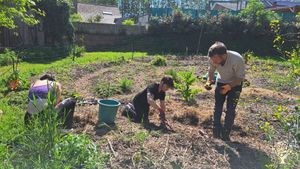 Lieu de formation et de stage en permaculture et yoga
