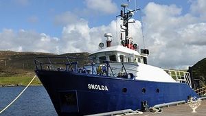Smallholding, tree nursery, livestock farm, croft
