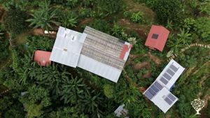 Homestead, Farm and plant nursery