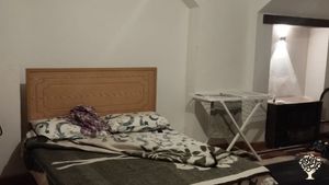 Fruit tree and date tree farm in the outskirts of Cairo