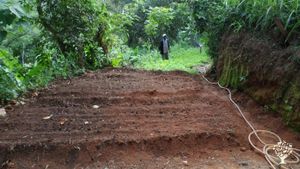 Farm Organically at the highlands & lowlands of Pare Mountains