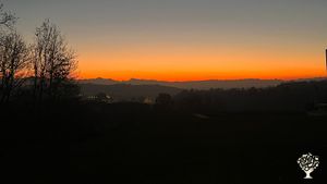 Azienda agricola vitivinicola nelle Langhe