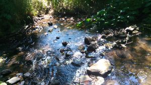 Die ehemalige Mühle am rauschenden Bach: Ein spiritueller Ort und eine Oase zum Auftanken!