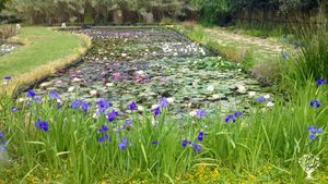 We cultivate more than 1500 species of plants from all over the world and  have a botanical garden.