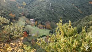 Ferme de 6 ha, moyenne montagne, jardin bio et éco-construction.