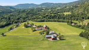 Økologisk drevet gård med bier. Beeki har lab, produksjon og lager ansiktsoljer m/Bivoks fra biene