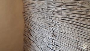 Family home and garden - rural