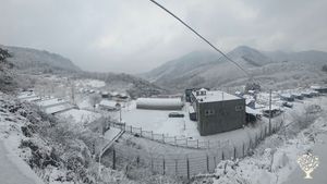 <CB115>산속 퍼머컬처를 통한 유기농업 인증 농장/Certified organic farm practicing permaculture in the mountains