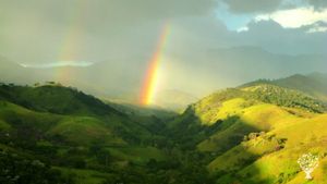 Learn bioconstruction and reconnect with nature in a peaceful homestead.