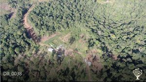 Ferme bio de culture de cacao et de transformation du cacao