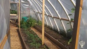 Family farm on beautiful Gabriola Island. Focusing on Veggies, Fruit, and Education.