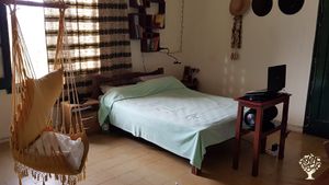 Wir bauen Heilkräuter und Essenzpfanzen.