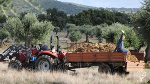 Family farm