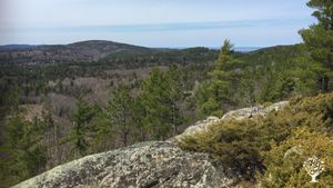 An experimental experiential embodiment sanctuary space in the UP of Michigan