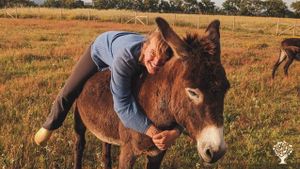 A hidden piece of paradise in the Wild West of Portugal