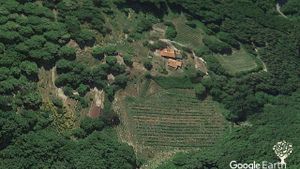 Azienda Agricola con laboratorio di trasformazione, coltiviamo Lamponi, Ribes Mirtilli, Marroni
