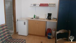 Family farm, Olive grove