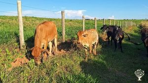 Produção de hortifrutti, leite, paes e doces organicos