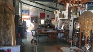 Family home and garden - rural