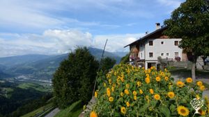 Fattoria di famiglia