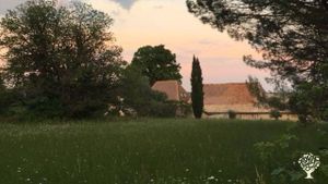 Un projet de future habitation éco-responsable, des travaux de plantations effectués et à continuer