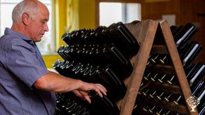 Bioweingut an der Mosel