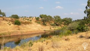 Permaculture project and private nature reserve in Alentejo, Portugal