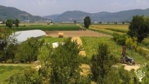 Azienda agricola biologica vitale
