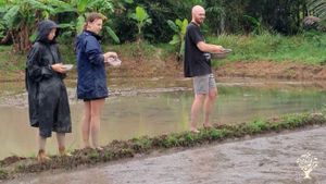 My farm is nearby Đà Nẵng city and Hội An city.