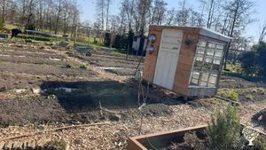 Permacultuur zelfoogstuin en boerderij