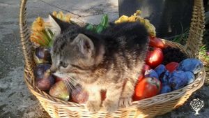 Fattoria di famiglia