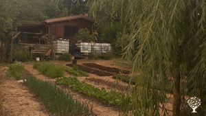 Siamo una piccola realta' agricola, nella campagna di Olevano Romano a 70 km sud-est di Roma.