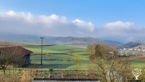 8.00 Uhr, 15 April 2022 am Stefhof :-) 