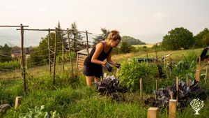 Permakultur-Bauernhof in den Hügeln des südlichen Monferrato, Piemont, Italien