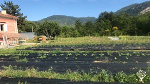 Ferme maraîchère biologique certifiée dans les baronnies provençales