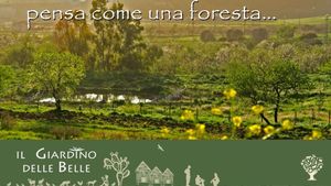 Progetto avanzato in Permacultura, giardino botanico, centro culturale d'arte visiva.